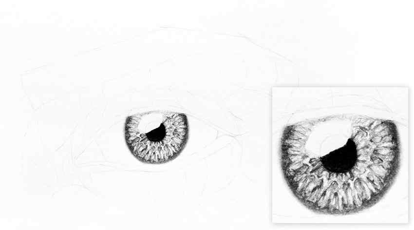Cómo dibujar un ojo realista