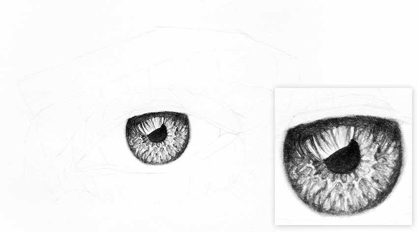 Cómo dibujar un ojo realista