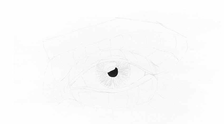 Cómo dibujar un ojo realista