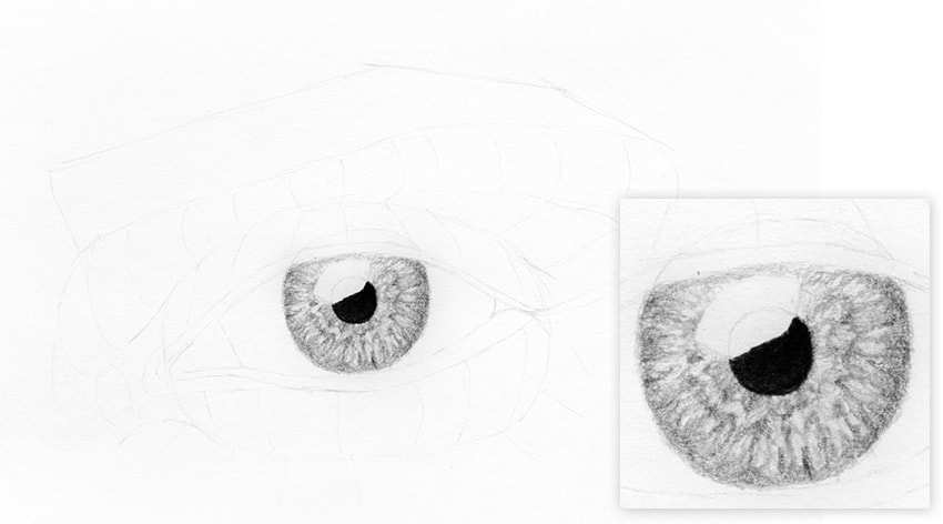 Cómo dibujar un ojo realista