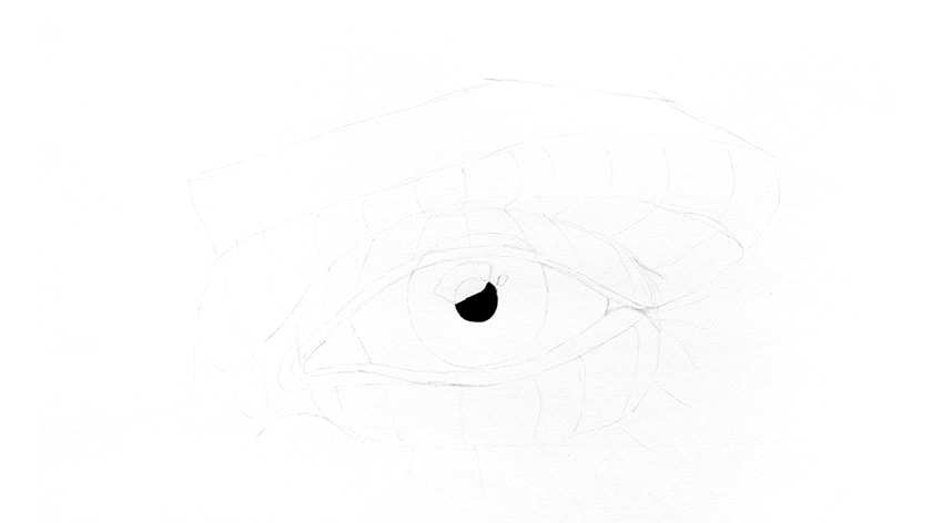 Cómo dibujar un ojo realista