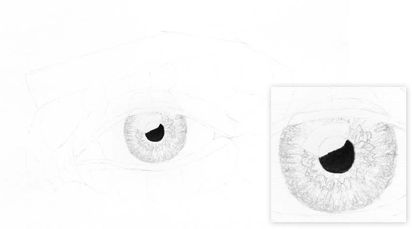 Cómo dibujar un ojo realista