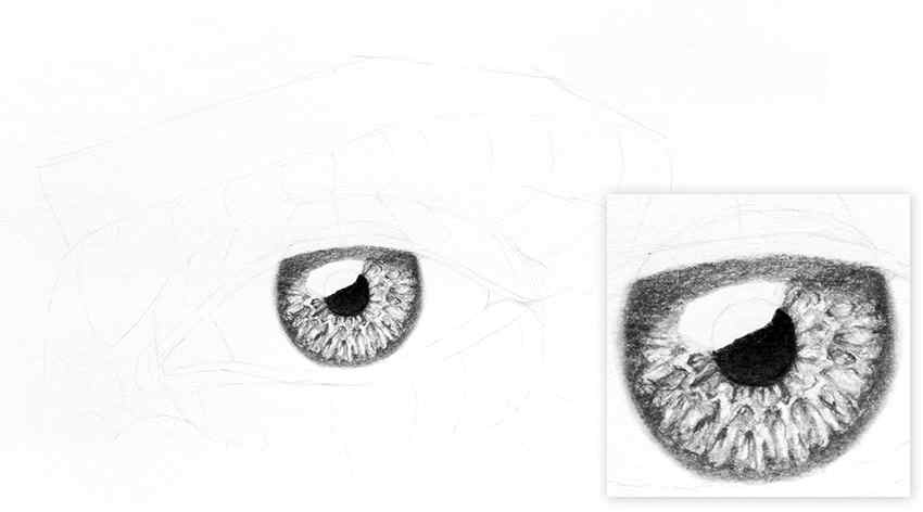 Cómo dibujar un ojo realista