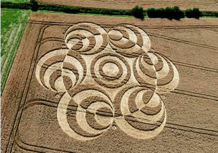 Círculo de trigo