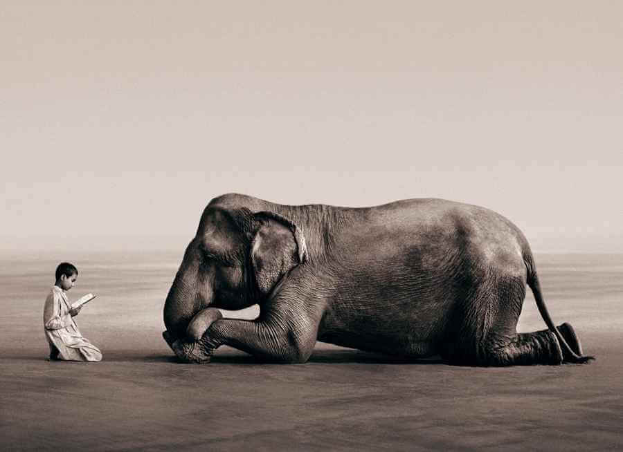 Fotos de Gregory Colbert