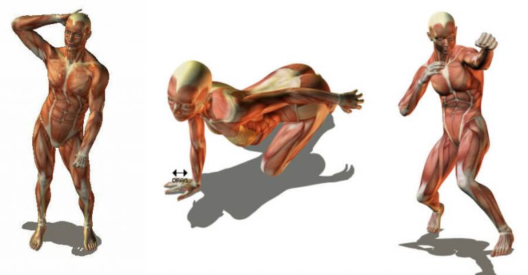 Poses cuerpo humano