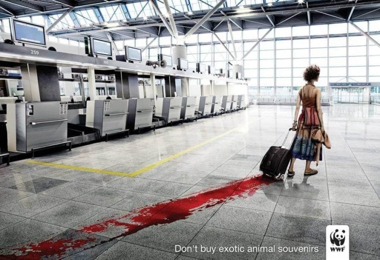 Animales exóticos wwf