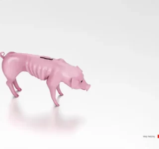 Puerco flaco