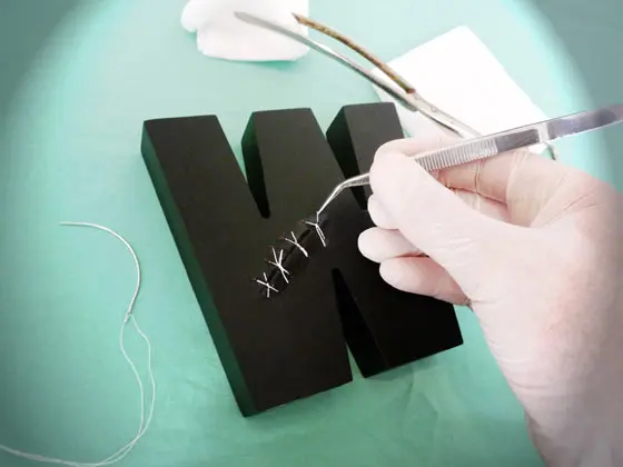 Letras en forma de huesos