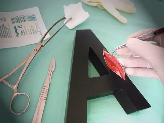 Letras en forma de huesos