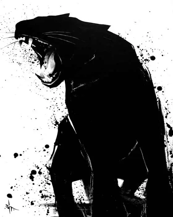 Dibujos a tinta negra