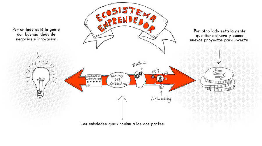 libro ilustrado para crear empresas