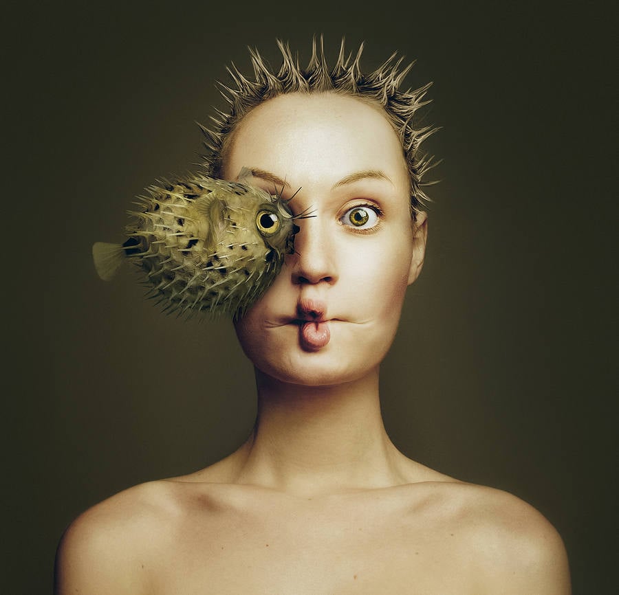 fotos surrealistas con animales y ojos