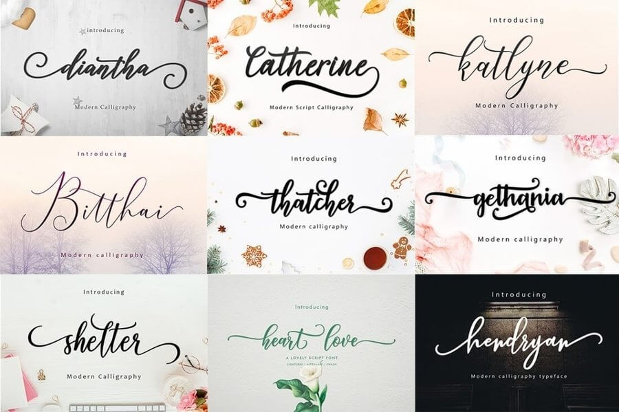 Script Fonts
